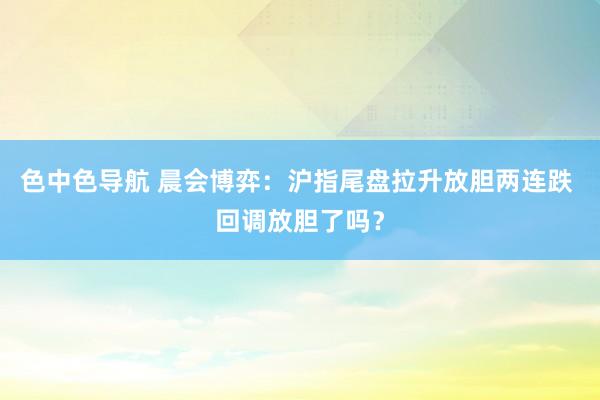 色中色导航 晨会博弈:沪指尾盘拉升放胆两连跌 回调放胆了吗?