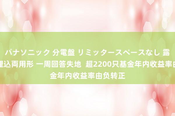 パナソニック 分電盤 リミッタースペースなし 露出・半埋込両用形 一周回答失地  超2200只基金年内收益率由负转正