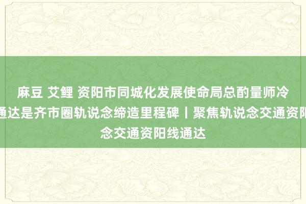 麻豆 艾鲤 资阳市同城化发展使命局总酌量师冷玲玲：通达是齐市圈轨说念缔造里程碑丨聚焦轨说念交通资阳线通达
