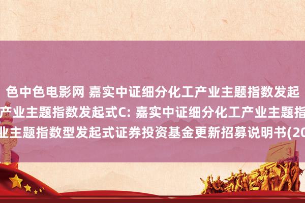 色中色电影网 嘉实中证细分化工产业主题指数发起式A,嘉实中证细分化工产业主题指数发起式C: 嘉实中证细分化工产业主题指数型发起式证券投资基金更新招募说明书(2024年10月28日更新)