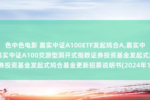 色中色电影 嘉实中证A100ETF发起鸠合A,嘉实中证A100ETF发起鸠合C: 嘉实中证A100交游型洞开式指数证券投资基金发起式鸠合基金更新招募说明书(2024年10月28日更新)