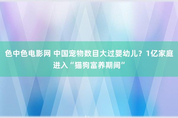 色中色电影网 中国宠物数目大过婴幼儿？1亿家庭进入“猫狗富养期间”