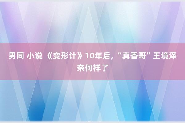 男同 小说 《变形计》10年后， “真香哥”王境泽奈何样了