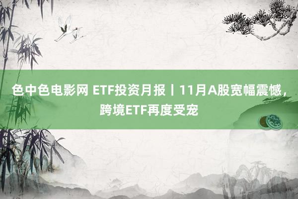 色中色电影网 ETF投资月报丨11月A股宽幅震憾，跨境ETF再度受宠