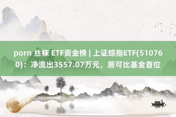 porn 丝袜 ETF资金榜 | 上证综指ETF(510760)：净流出3557.07万元，居可比基金首位