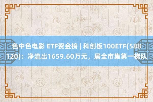 色中色电影 ETF资金榜 | 科创板100ETF(588120)：净流出1659.60万元，居全市集第一梯队