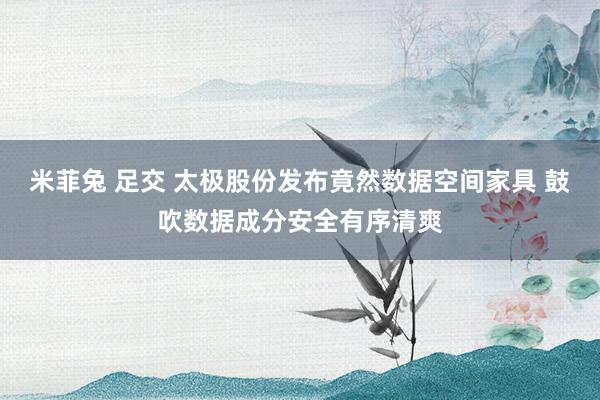 米菲兔 足交 太极股份发布竟然数据空间家具 鼓吹数据成分安全有序清爽