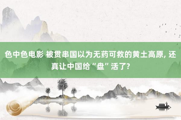 色中色电影 被贯串国以为无药可救的黄土高原， 还真让中国给“盘”活了?
