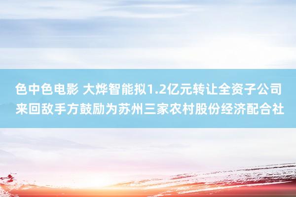 色中色电影 大烨智能拟1.2亿元转让全资子公司 来回敌手方鼓励为苏州三家农村股份经济配合社