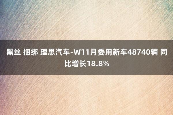 黑丝 捆绑 理思汽车-W11月委用新车48740辆 同比增长18.8%