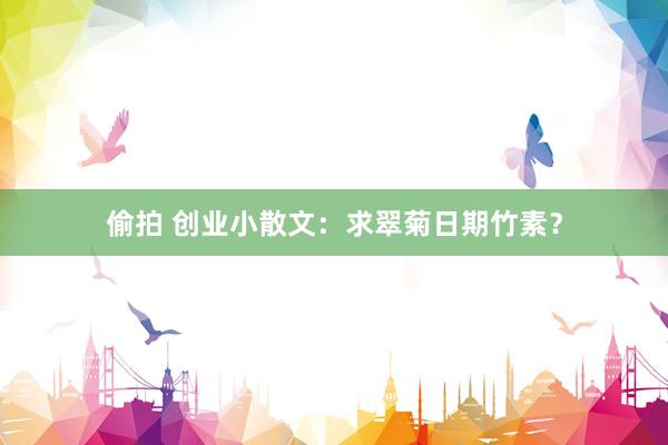 偷拍 创业小散文：求翠菊日期竹素？