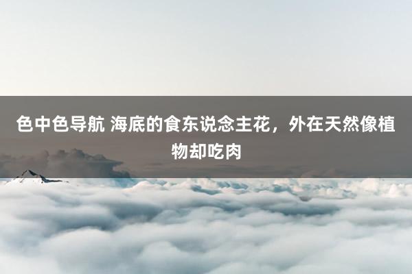 色中色导航 海底的食东说念主花，外在天然像植物却吃肉