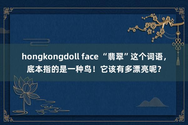 hongkongdoll face “翡翠”这个词语，底本指的是一种鸟！它该有多漂亮呢？