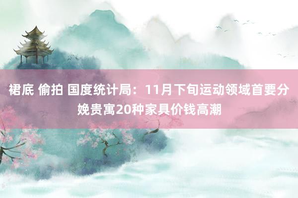 裙底 偷拍 国度统计局：11月下旬运动领域首要分娩贵寓20种家具价钱高潮