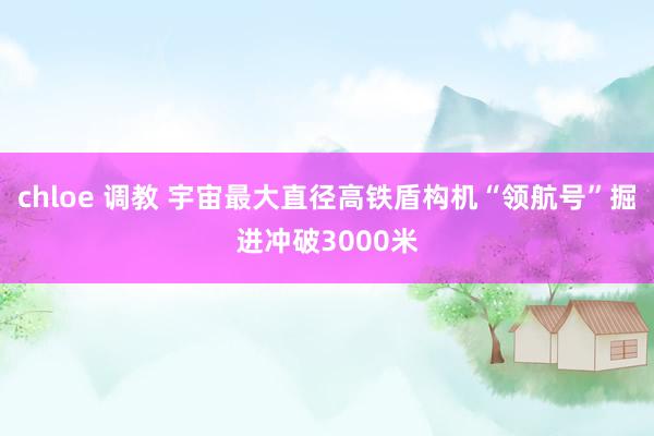 chloe 调教 宇宙最大直径高铁盾构机“领航号”掘进冲破3000米