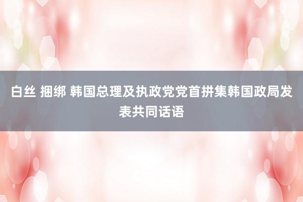 白丝 捆绑 韩国总理及执政党党首拼集韩国政局发表共同话语