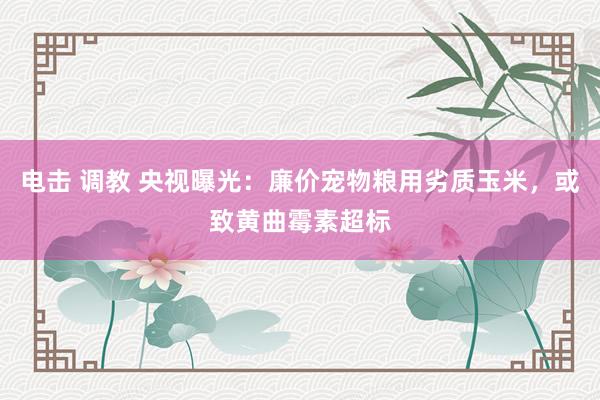 电击 调教 央视曝光：廉价宠物粮用劣质玉米，或致黄曲霉素超标