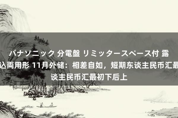 パナソニック 分電盤 リミッタースペース付 露出・半埋込両用形 11月外储：相差自如，短期东谈主民币汇最初下后上