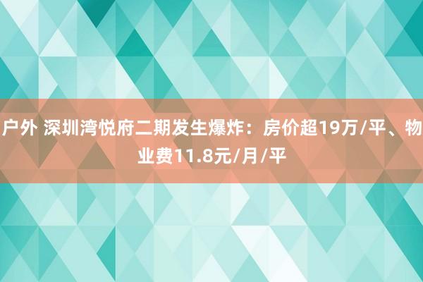 户外 深圳湾悦府二期发生爆炸：房价超19万/平、物业费11.8元/月/平