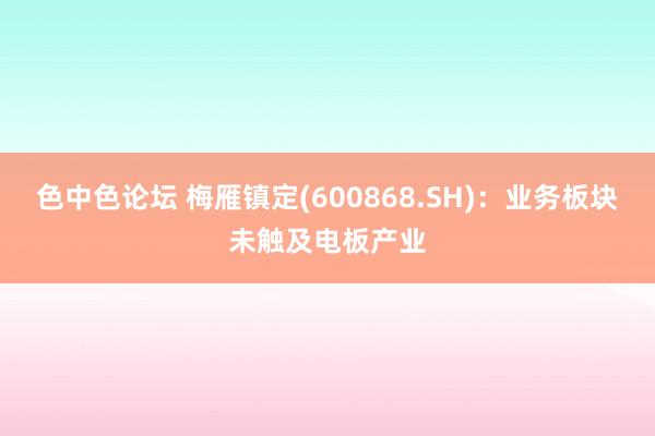 色中色论坛 梅雁镇定(600868.SH)：业务板块未触及电板产业