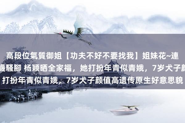 高段位氣質御姐【功夫不好不要找我】姐妹花~連體絲襪~大奶晃動~絲襪騷腳 杨颖晒全家福，她打扮年青似青娥，7岁犬子颜值高遗传原生好意思貌