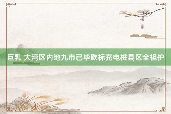 巨乳 大湾区内地九市已毕欧标充电桩县区全袒护