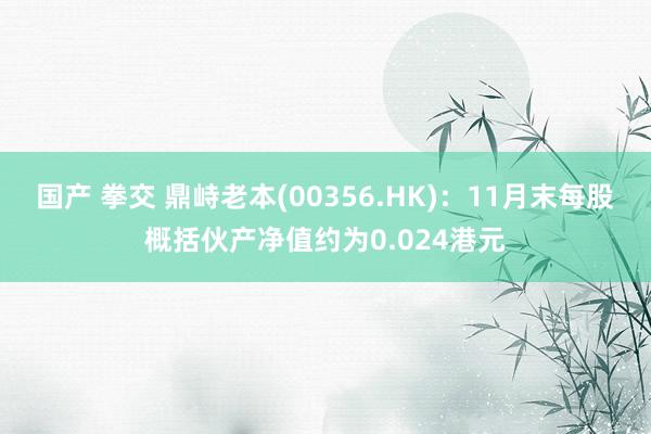 国产 拳交 鼎峙老本(00356.HK)：11月末每股概括伙产净值约为0.024港元
