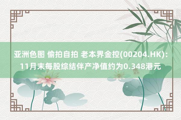 亚洲色图 偷拍自拍 老本界金控(00204.HK)：11月末每股综结伴产净值约为0.348港元
