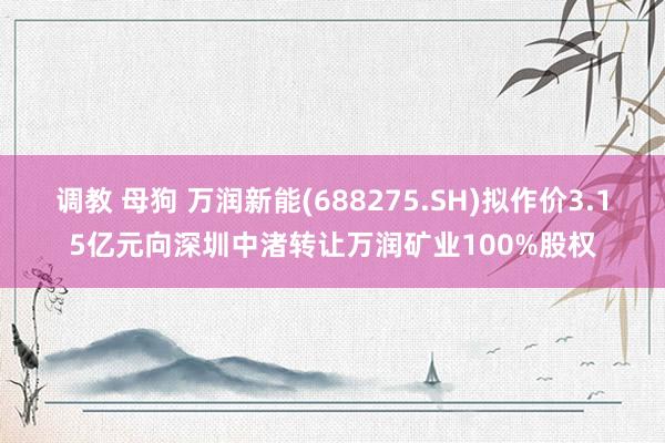 调教 母狗 万润新能(688275.SH)拟作价3.15亿元向深圳中渚转让万润矿业100%股权