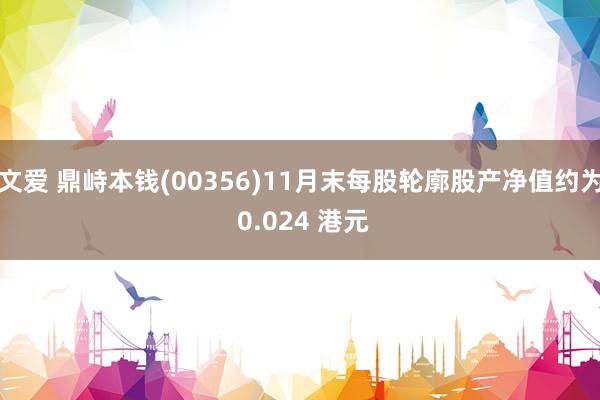 文爱 鼎峙本钱(00356)11月末每股轮廓股产净值约为 0.024 港元