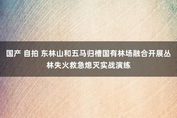 国产 自拍 东林山和五马归槽国有林场融合开展丛林失火救急熄灭实战演练