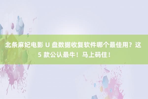 北条麻妃电影 U 盘数据收复软件哪个最佳用？这 5 款公认最牛！马上码住！