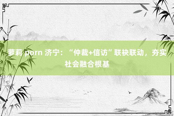 萝莉 porn 济宁：“仲裁+信访”联袂联动，夯实社会融合根基