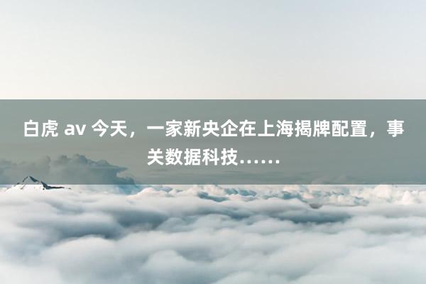 白虎 av 今天，一家新央企在上海揭牌配置，事关数据科技……