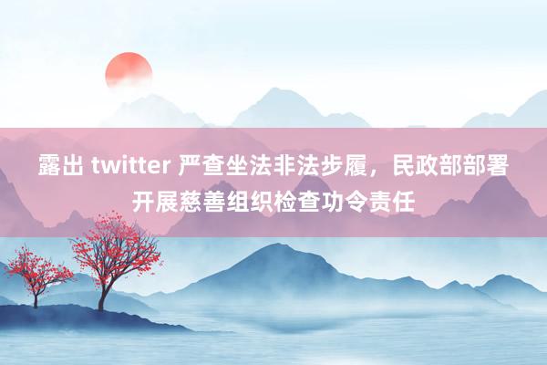 露出 twitter 严查坐法非法步履，民政部部署开展慈善组织检查功令责任