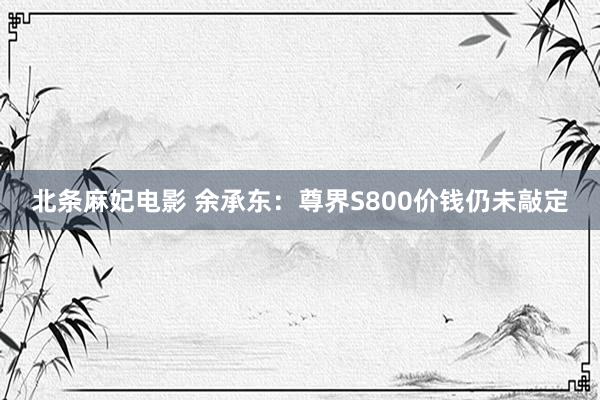 北条麻妃电影 余承东：尊界S800价钱仍未敲定