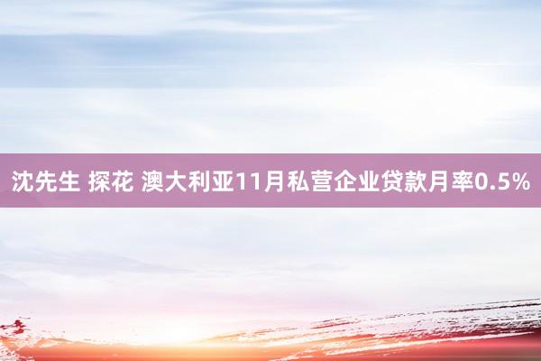 沈先生 探花 澳大利亚11月私营企业贷款月率0.5%