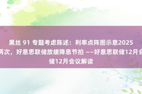 黑丝 91 专题考虑陈述：利率点阵图示意2025年降息两次，好意思联储放缓降息节拍 ——好意思联储12月会议解读