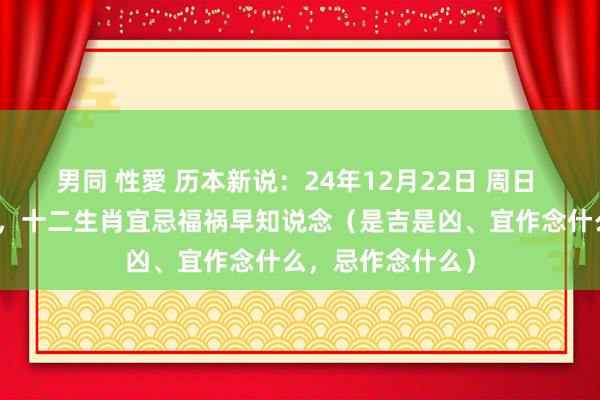 男同 性愛 历本新说：24年12月22日 周日 农历十一月廿二，十二生肖宜忌福祸早知说念（是吉是凶、宜作念什么，忌作念什么）