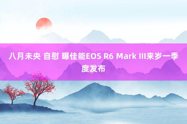 八月未央 自慰 曝佳能EOS R6 Mark III来岁一季度发布