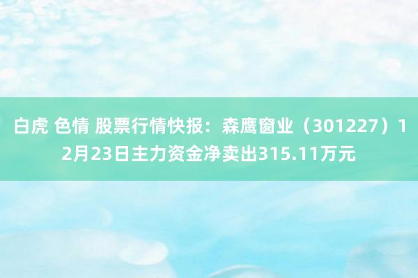 白虎 色情 股票行情快报：森鹰窗业（301227）12月23日主力资金净卖出315.11万元
