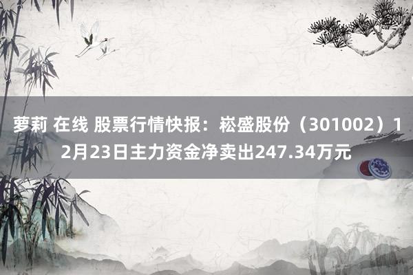 萝莉 在线 股票行情快报：崧盛股份（301002）12月23日主力资金净卖出247.34万元