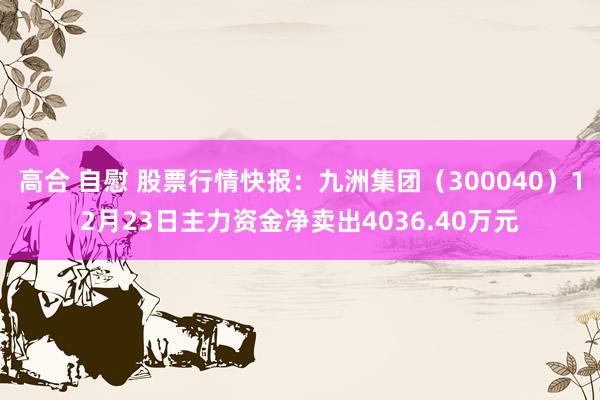 高合 自慰 股票行情快报：九洲集团（300040）12月23日主力资金净卖出4036.40万元