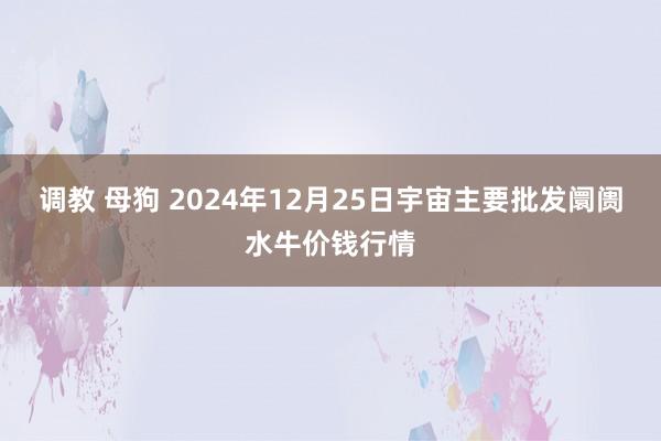 调教 母狗 2024年12月25日宇宙主要批发阛阓水牛价钱行情