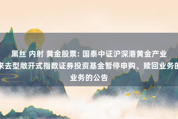黑丝 内射 黄金股票: 国泰中证沪深港黄金产业股票来去型敞开式指数证券投资基金暂停申购、赎回业务的公告