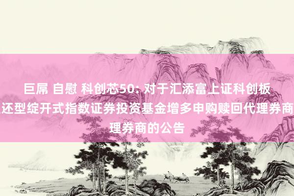 巨屌 自慰 科创芯50: 对于汇添富上证科创板芯片往还型绽开式指数证券投资基金增多申购赎回代理券商的公告