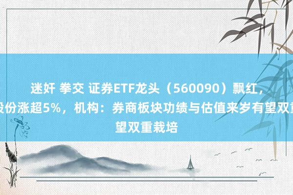 迷奸 拳交 证券ETF龙头（560090）飘红，哈投股份涨超5%，机构：券商板块功绩与估值来岁有望双重栽培