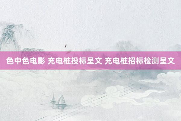 色中色电影 充电桩投标呈文 充电桩招标检测呈文
