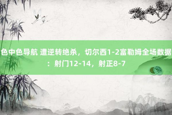 色中色导航 遭逆转绝杀，切尔西1-2富勒姆全场数据：射门12-14，射正8-7