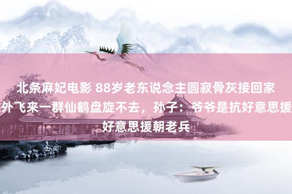 北条麻妃电影 88岁老东说念主圆寂骨灰接回家时，天外飞来一群仙鹤盘旋不去，孙子：爷爷是抗好意思援朝老兵
